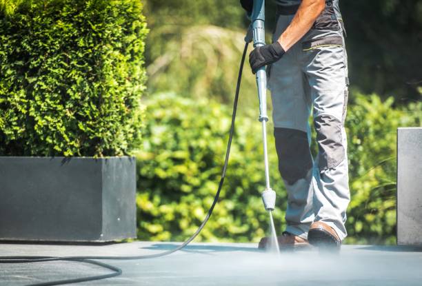 Best Driveway Cleaning and Restoration in St Pauls, NC